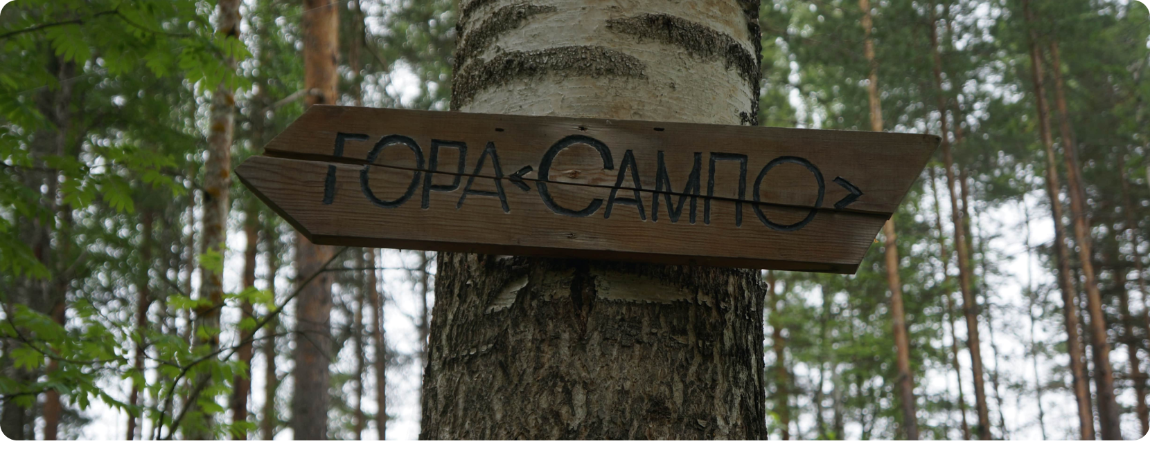  проект - 2023-09-05T014457