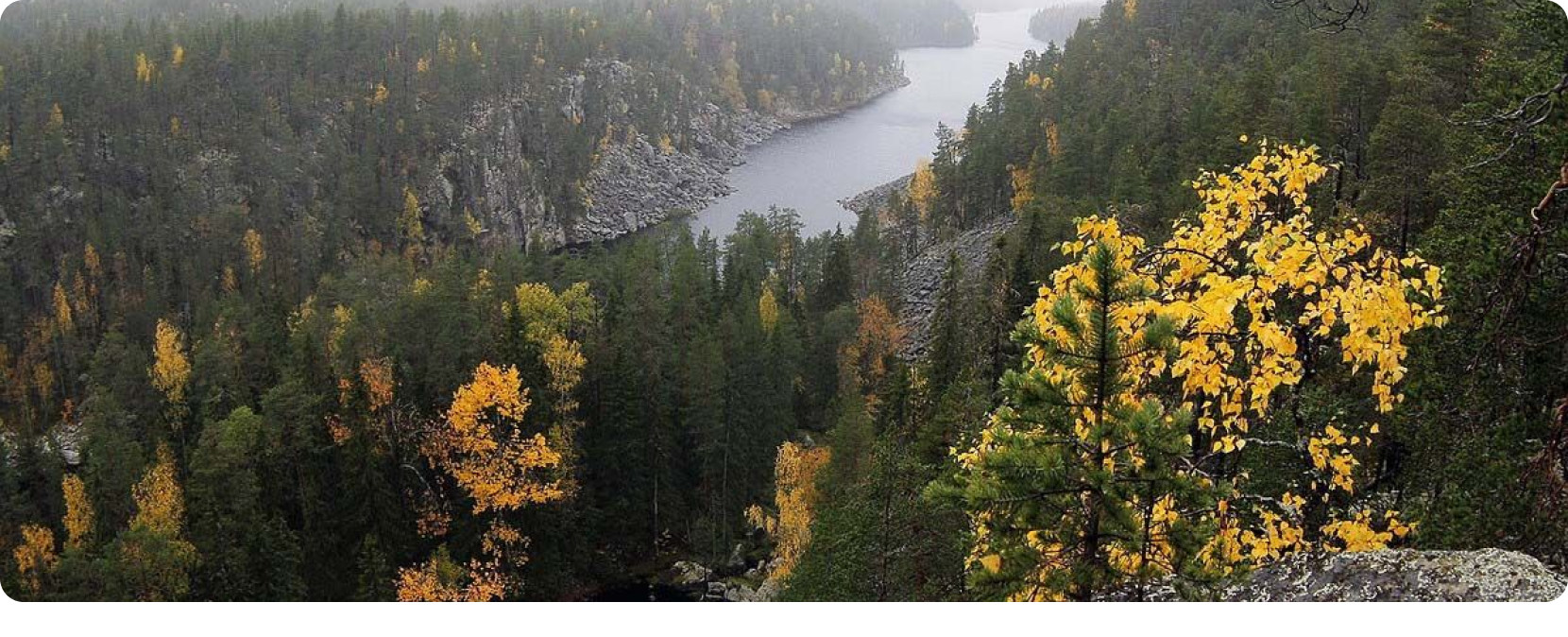  проект - 2023-09-05T014511