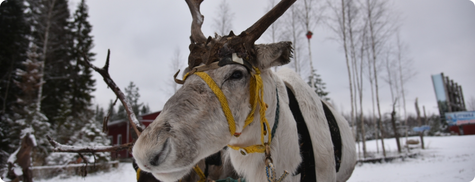  проект - 2023-09-06T173925