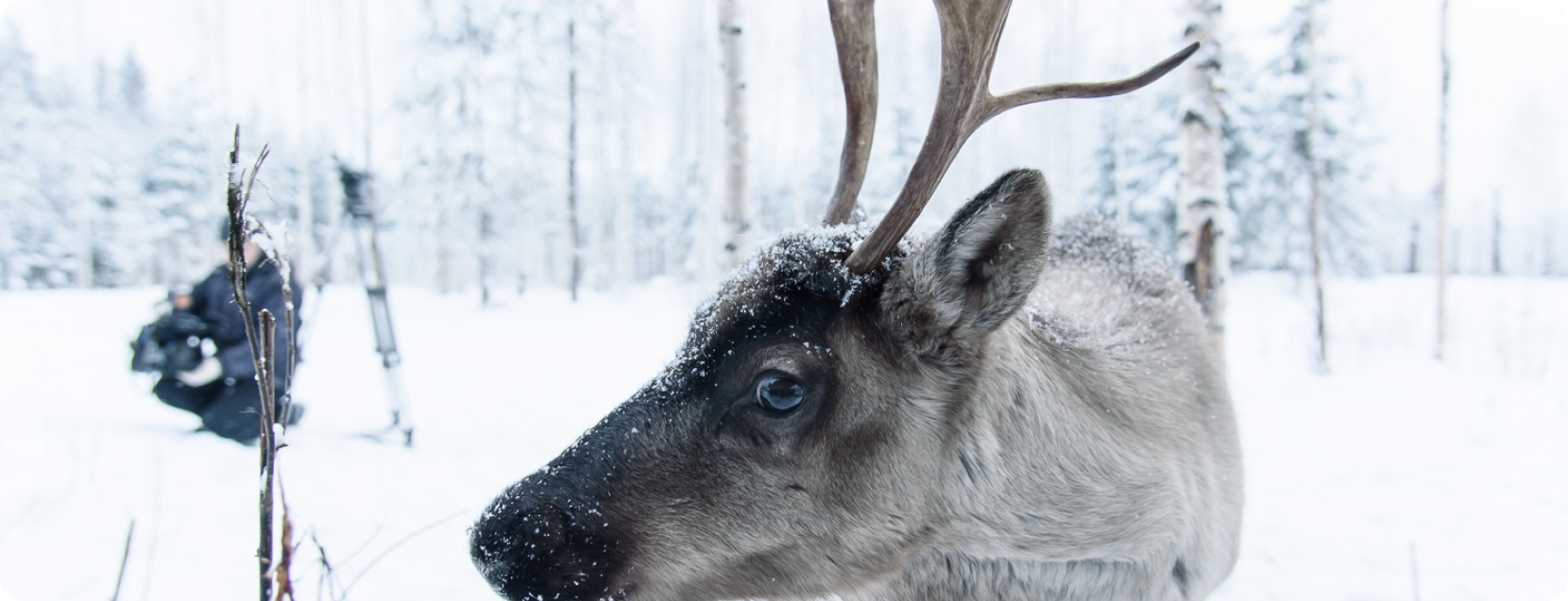  проект - 2023-09-06T173937