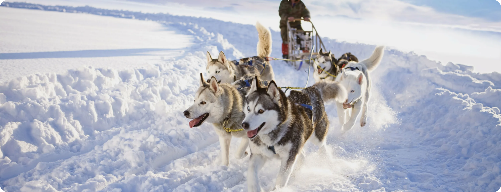  проект - 2023-09-06T174327